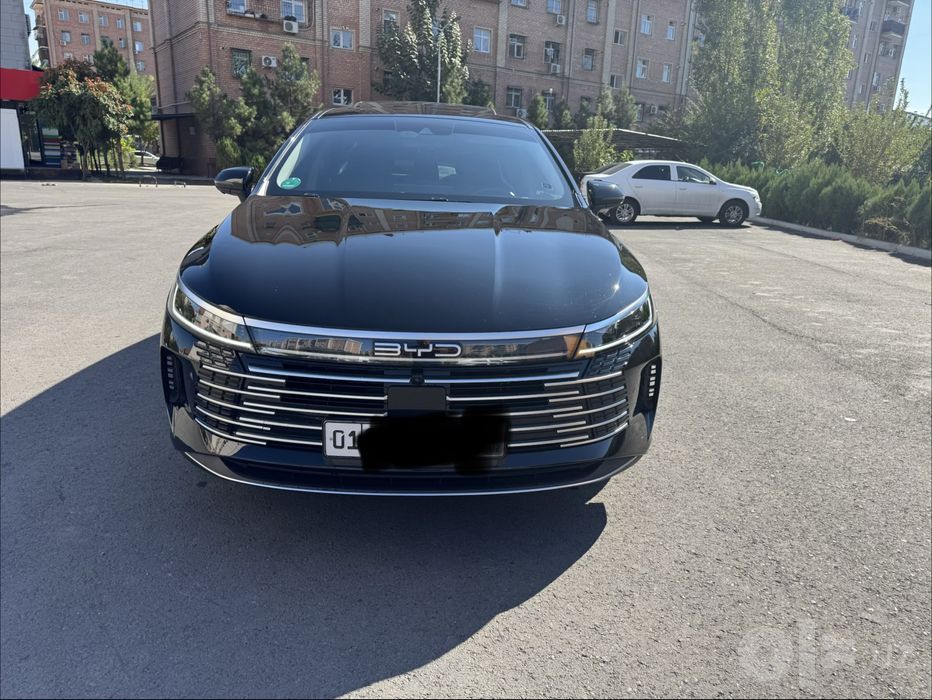 Byd chazor 2025 год
