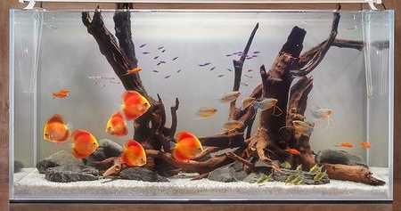 Дизайн аквариума.