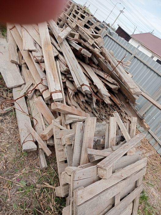 Тегін ағаштар бир Газел