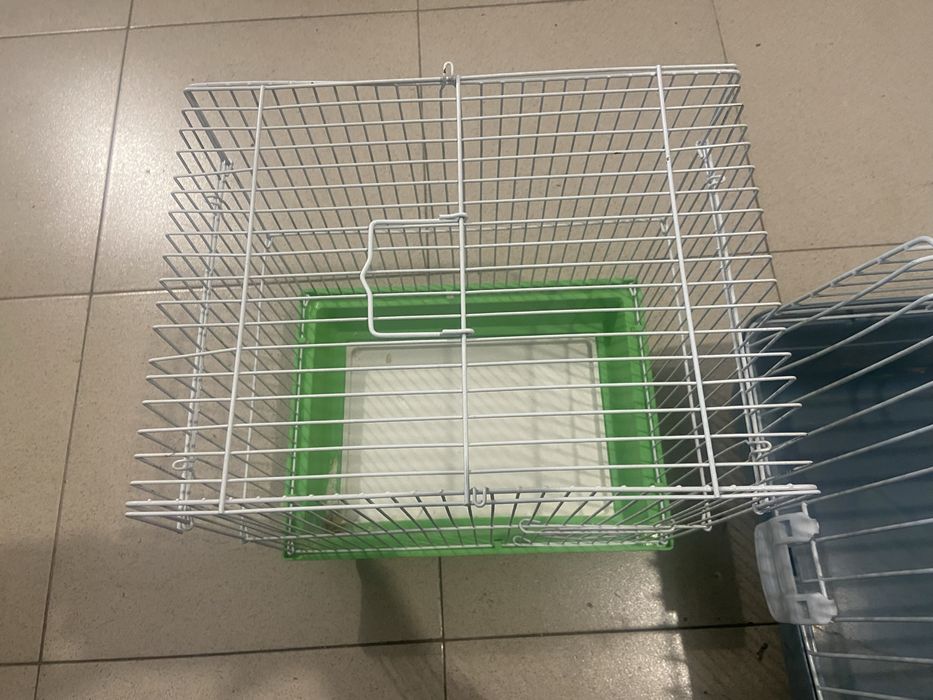 Животински клетки