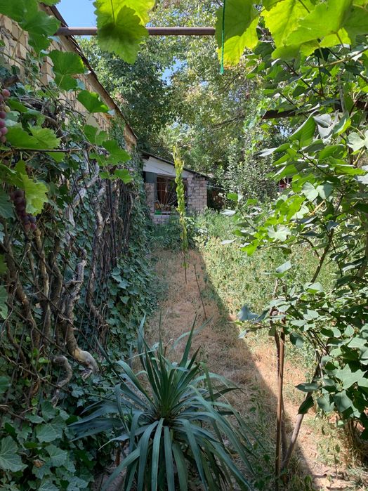 Мирзо-Улугбек район.  Академгородок участок 6,4 сот, 300000!