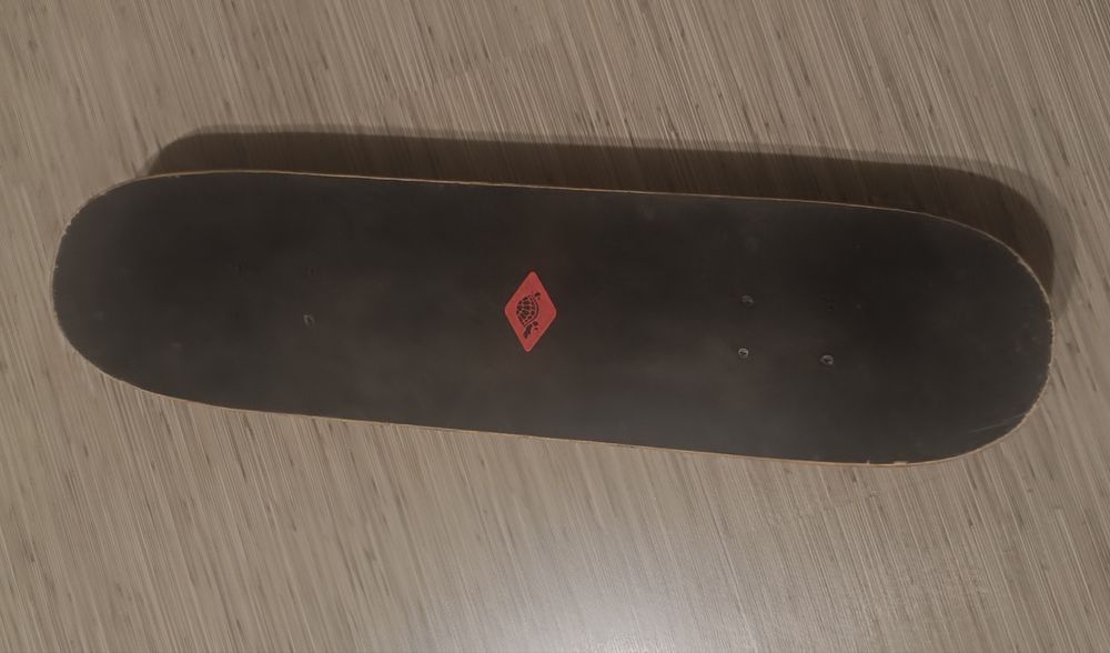 Skateboard Schildkrot