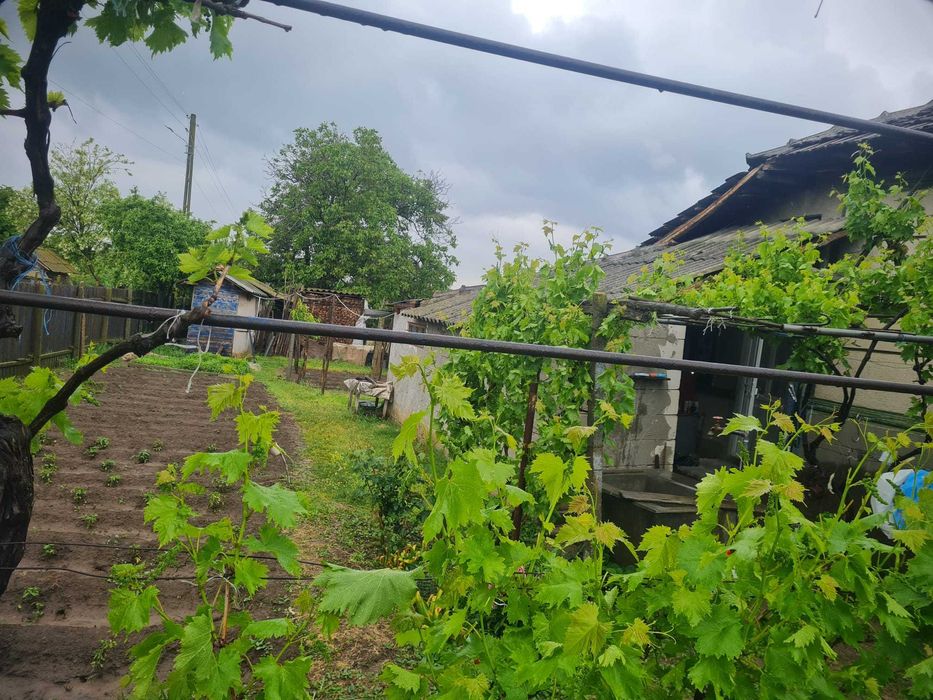 Casa in Oltina Constanța