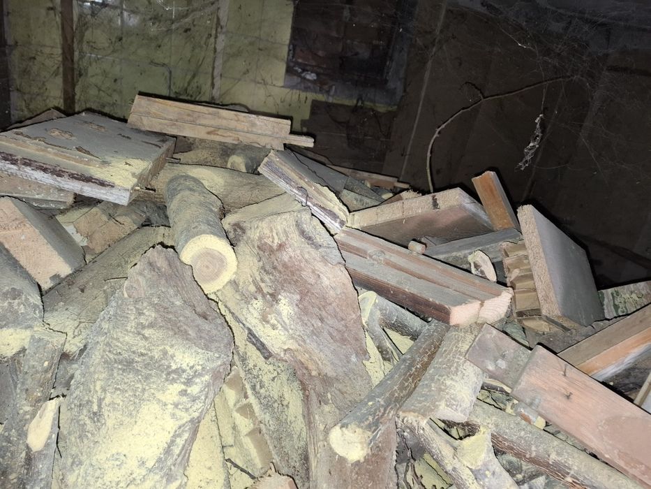 Дърва за огрев 100 евро