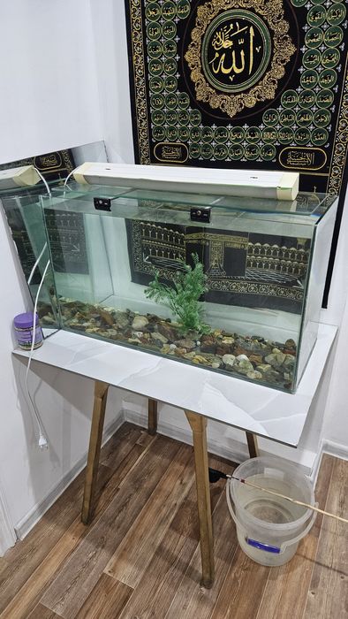 Аквариум для рыб