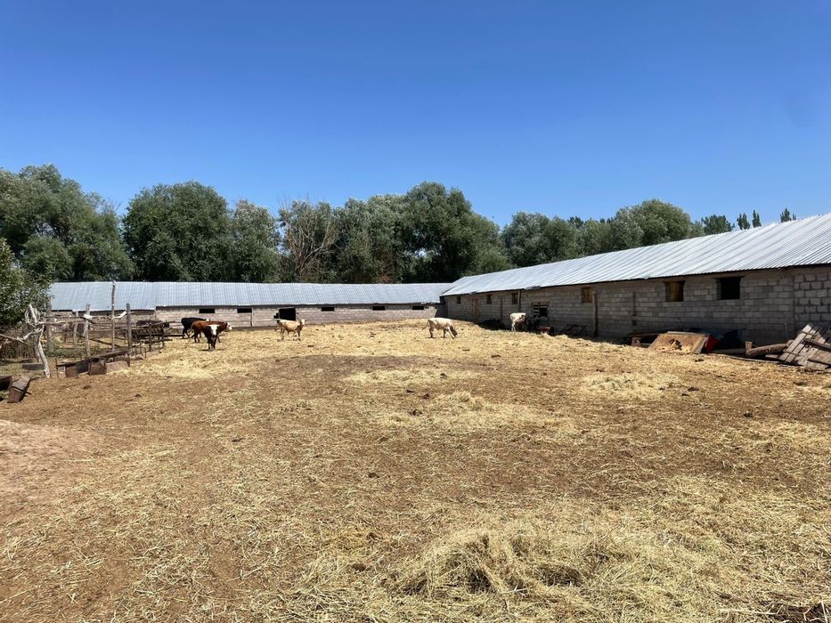 Продается Крестьянское хозяйство