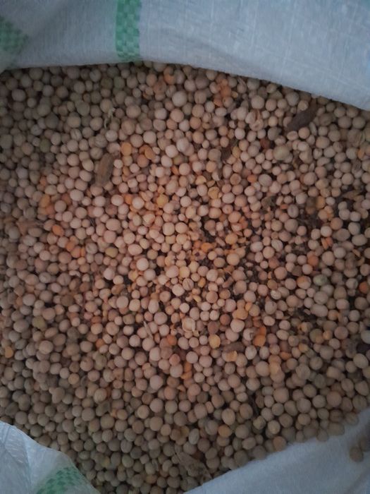 Mazăre furajera 2,50lei/kg în saci