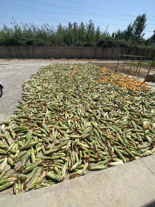 Makkajohori sotiladi