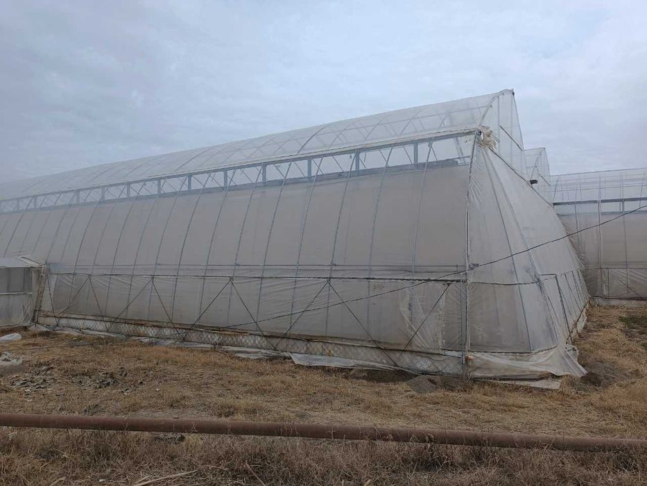 Zamonaviy tipdagi issiqxona