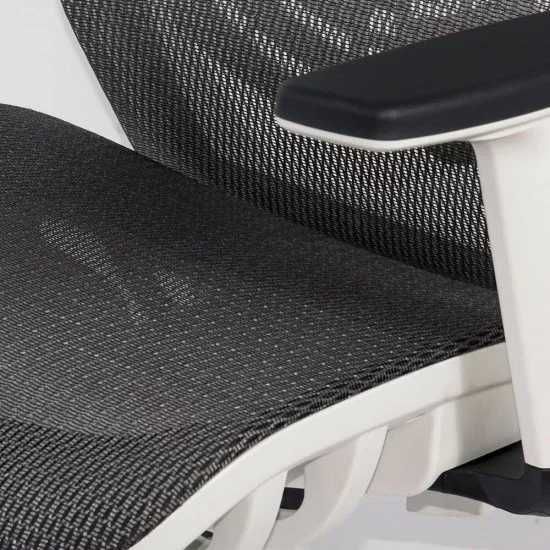Scaun Birou Ergonomic DS9503 Multiblock Reglaj lombar LIVRARE GRATUITA