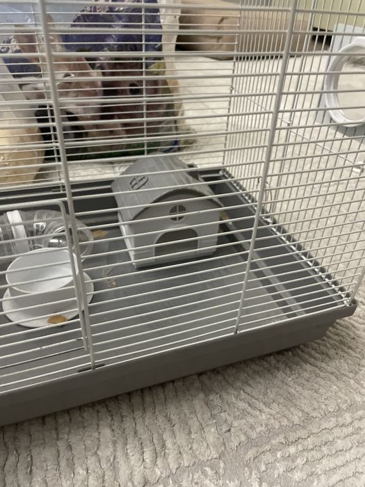 Клетка для грызунов