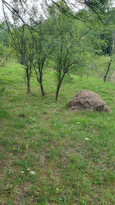 Vând teren intravilan Aluniș Prahova