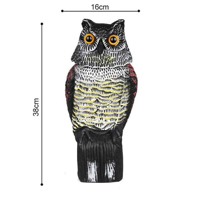Бухал против врабчета, косове, врани, свраки, кълвачи и др. птици