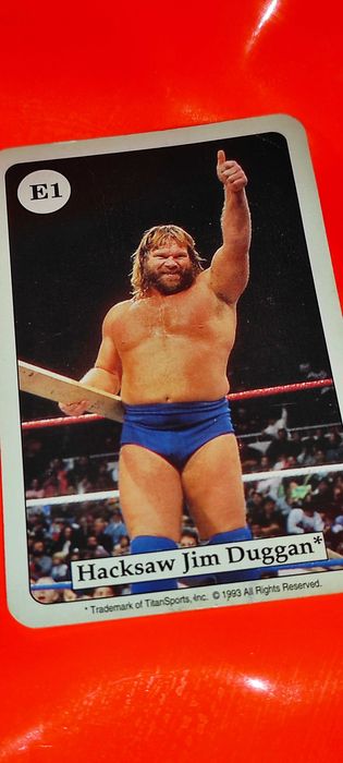 32 carduri din seria 8 amigo wf quartett an 1993


A