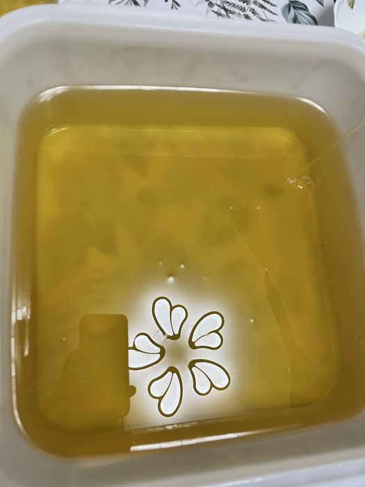 Продам Алтайский мед