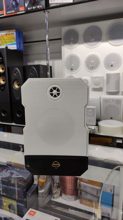 Настенная Потолочная акустика в широком ассортименте.