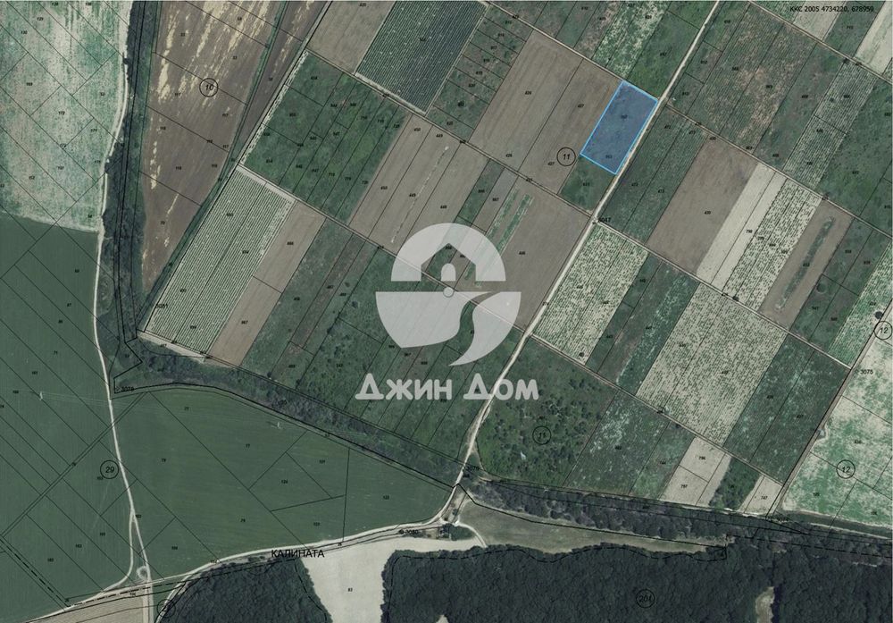 Продава се Парцел в с. Кошарица, Област Бургас - 5000 кв.м за 8 €/кв.м - Снимка #2