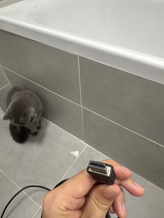 Кабель HDMI High Speed
