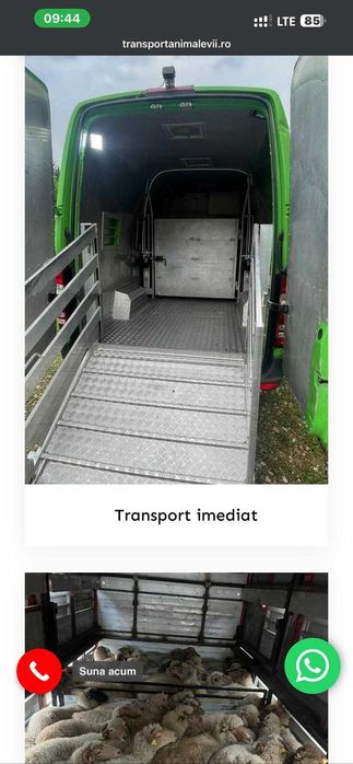 ***Creare site - Creare Magazin Online - Web Design - Google Ads***