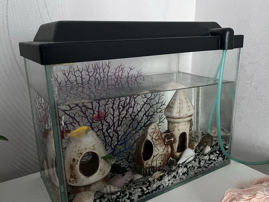 Продается Аквариум 15л с моторчиком