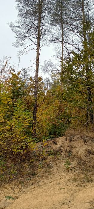 Продава се Земеделски имот в Смолян, в.з. Смолян -  кв.м за 1080 €/дка - Снимка #1