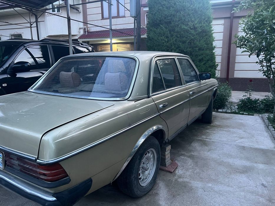 Mercedes-Benz W123
