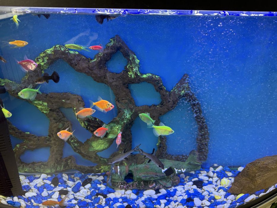 Продается аквариум
