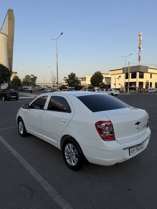 Cobalt kuzov 2026, Mcm style, tozza 100%.