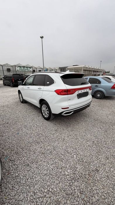 Halal M6 2025 full позиция