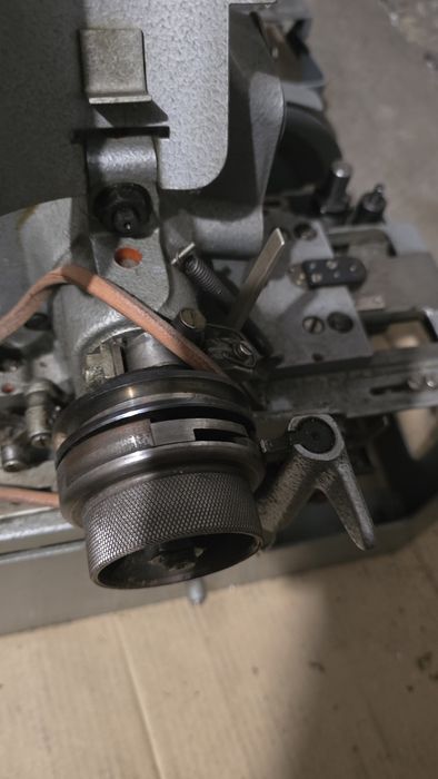 Minerva, глазковая