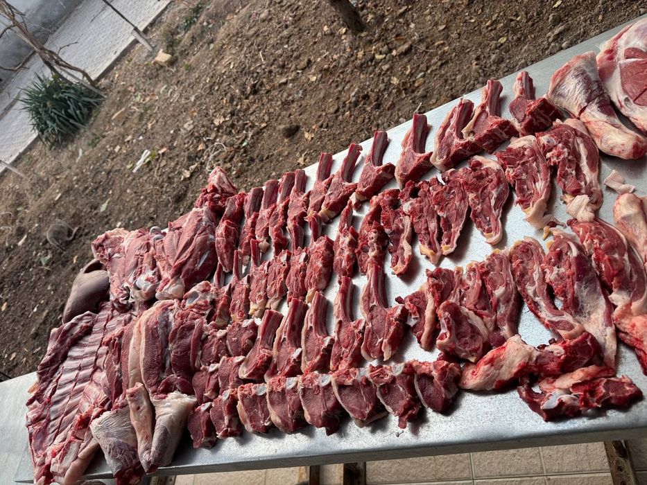 "Қўй · Қўчқор · Кўчкор — Соғлом,  Сўйиб Берамиз"