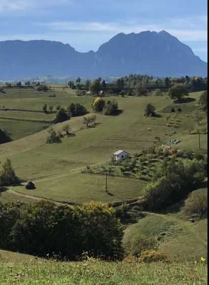Teren intravilan construibil Poiana Marului, Brasov