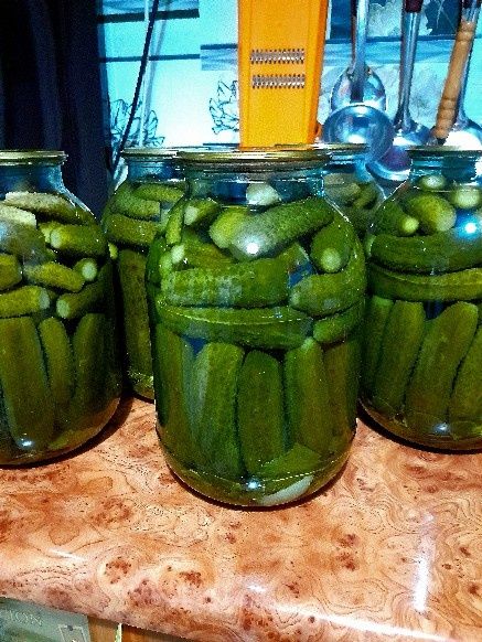 Помидоры консервированные. Дачные.