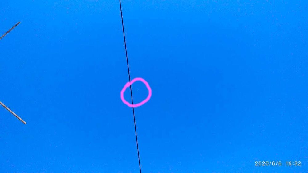 ИНДОПАКИСТАНСКИЕ Высоко-долголётные игровые ГОЛУБИ