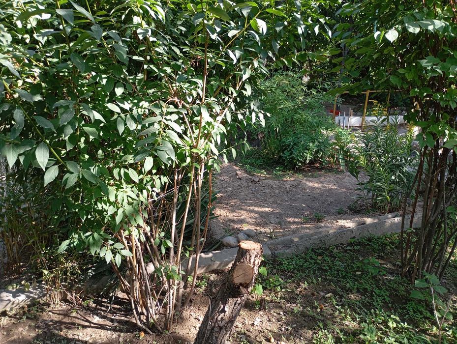 Участок 6 соток,дача