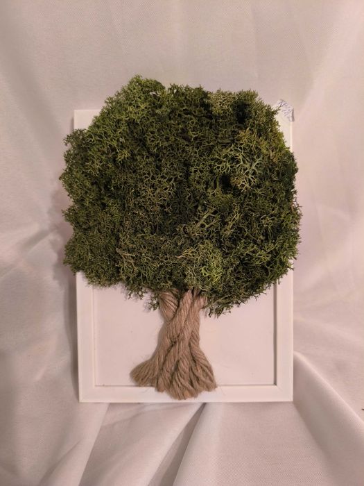 Картини от скандинавски мъх