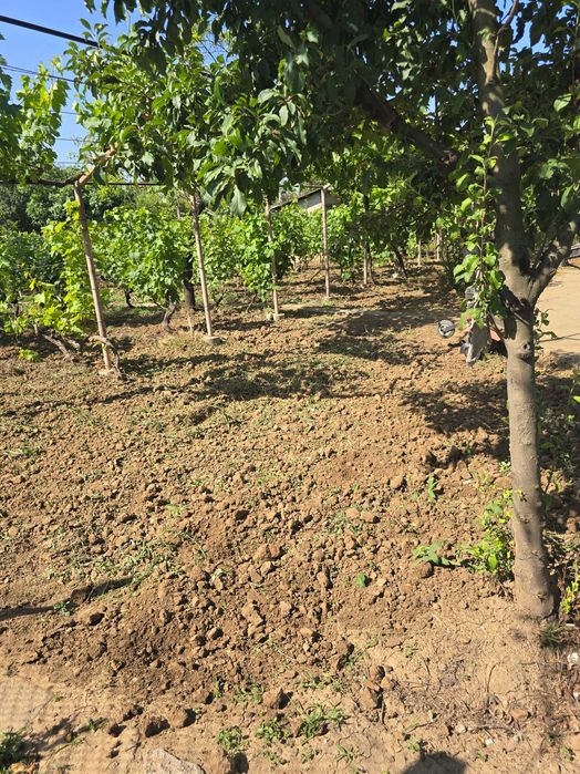 Продава се Къща в с. Калипетрово, Област Силистра - 45 кв.м за 680 €/кв.м - Снимка #14