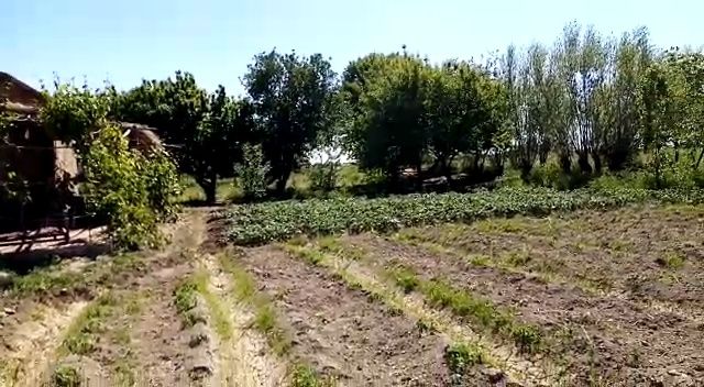 Жай сатилади бахаси келисимли