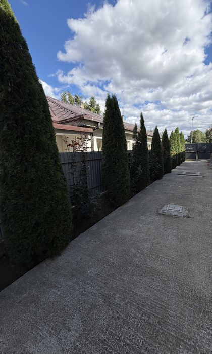 Restaurarea Grădinilor