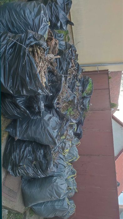 Tund iarba ieftin Bucuresti