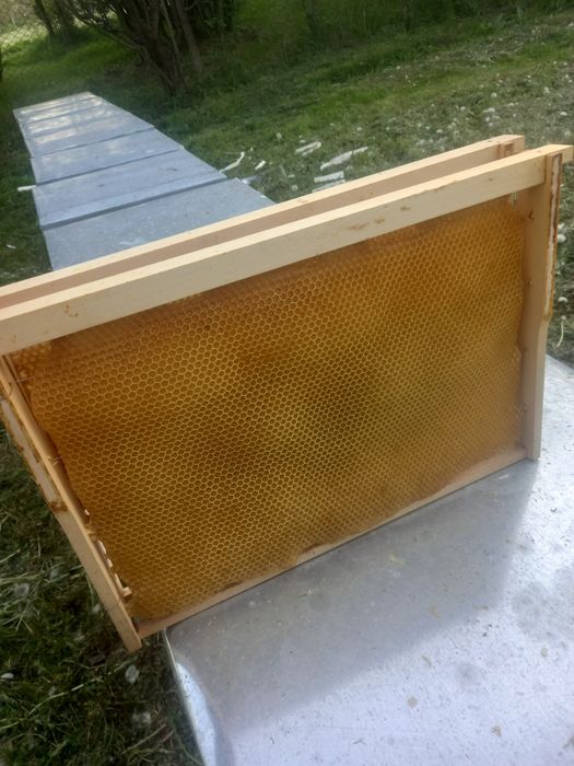 Vând rame clădite 1/1