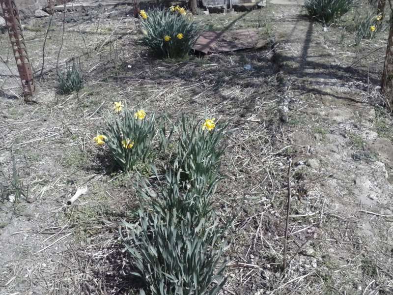 Продава се Къща в с. Веселие, Област Бургас - 60 кв.м за 834 €/кв.м - Снимка #6