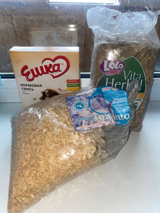 Отдам хомяка в хорошие руки