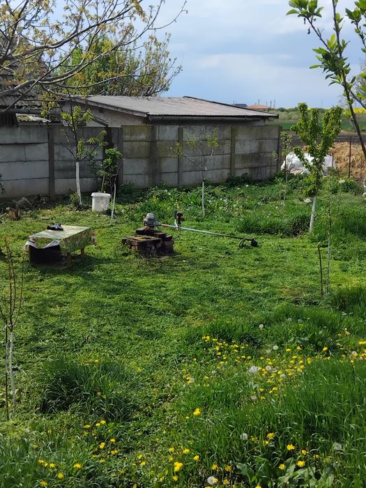 Ezecut lucrări de cosit curți petresti carei si pe zona