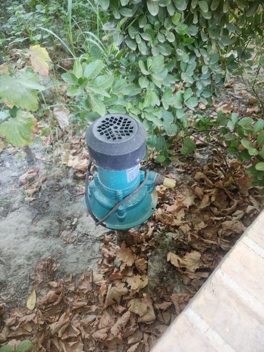 Сейф и воданасос