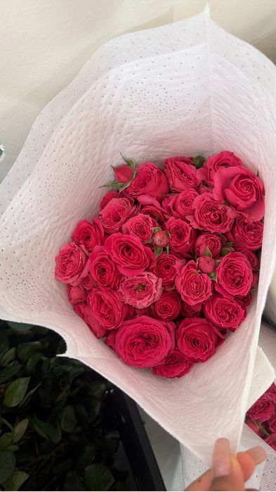 Большие бутоны сорт софия кустовые розы