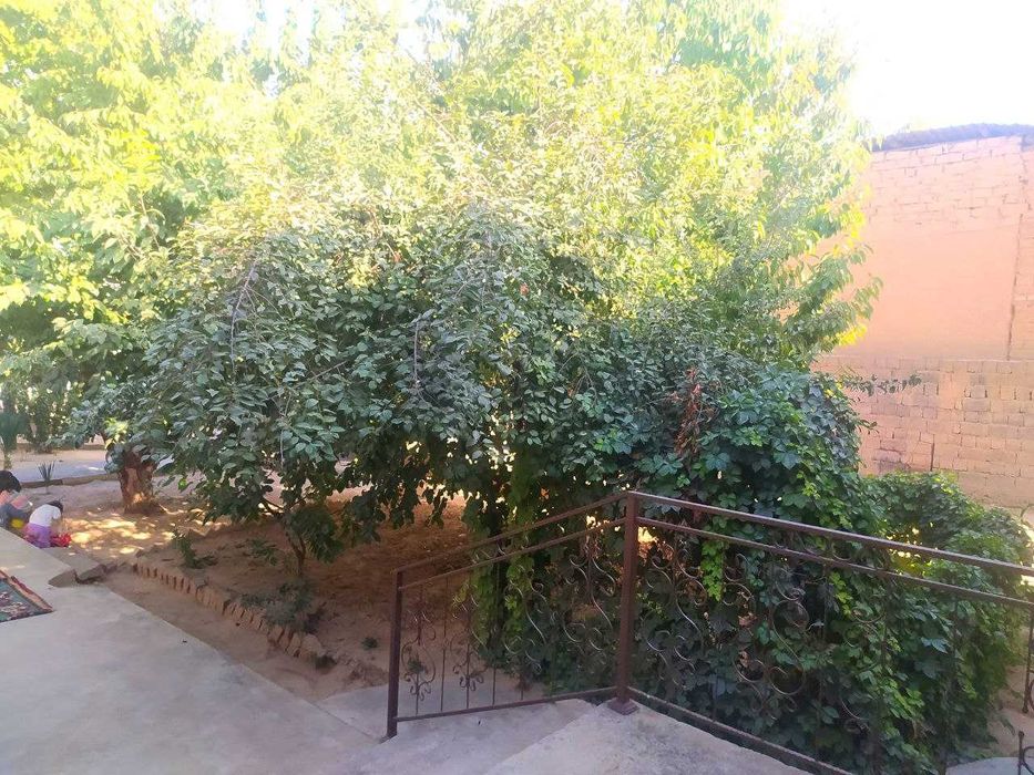 Продается Дом 5 + ком 6 соток от Диадора ТТЗ- 7 км Кибрай рн Гулчилар