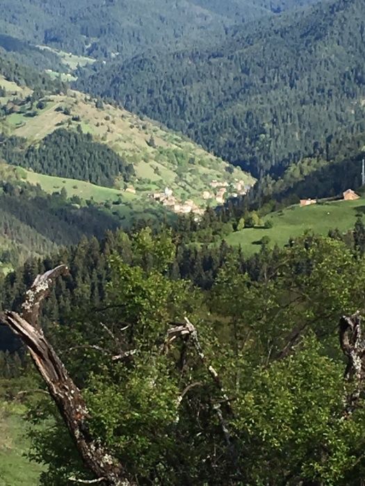 Продава се Къща в Чепеларе - 78 кв.м за 257 €/кв.м - Снимка #8