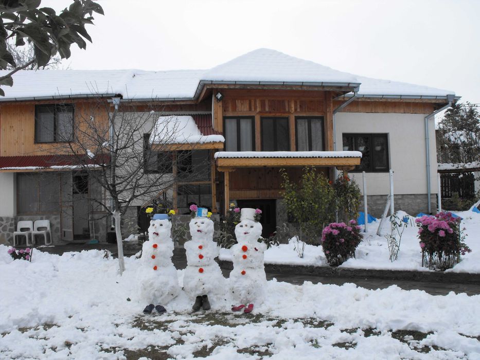 Продава се Къща в с. Дойренци, Област Ловеч - 200 кв.м за 222 €/кв.м - Снимка #9