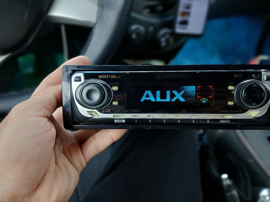 Pioneer delfin mafon